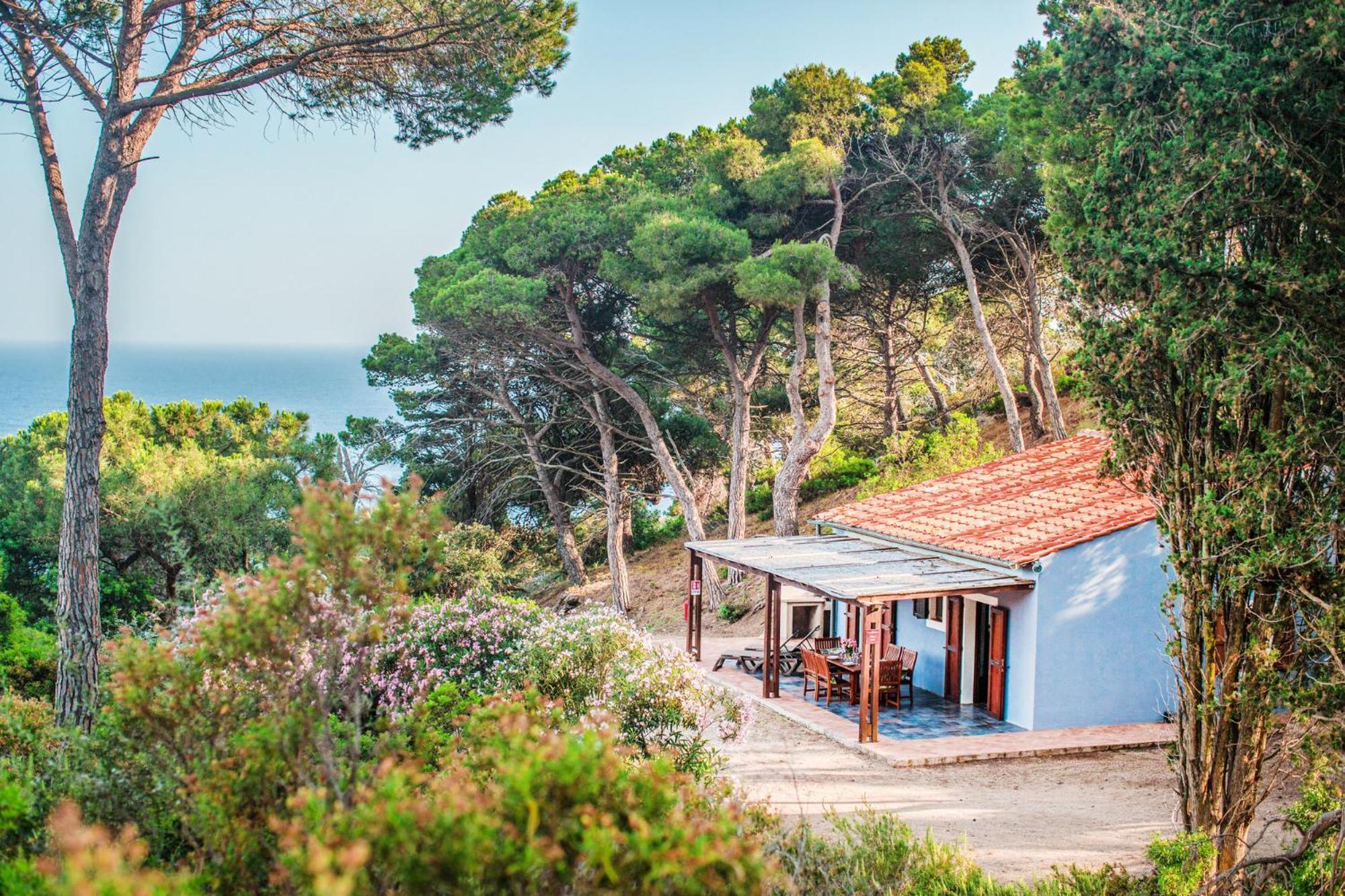 Tenuta Delle Ripalte Capoliveri  Esterno foto